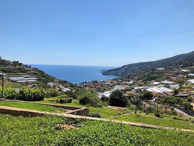 #Panorami #Liguria #Home #Coldirodi #Sanremo #View #Sunny #summer #Vacation #LamiaLiguria #IgLiguria #grass #Sea #mare #Photooftheday #City #Skyview #Ospedaletti #Panorama #Spring # bit.ly/2HPfwfg