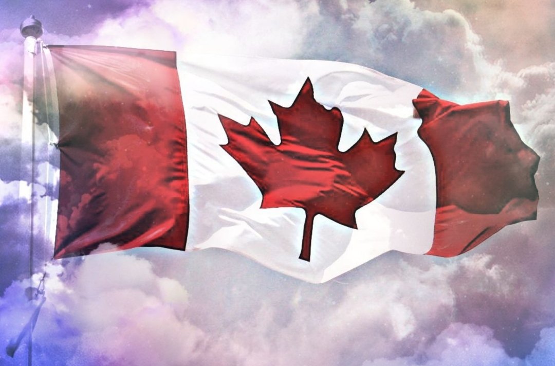 thedragflick's tweet image. 🚺 Four Nations Junior Women's Tournament | #MatchThree | #SCOvsCAN

The Canadian Jr. women's hockey team claim a (1-0) victory over the Scottish Jr. women's hockey team in 'Match Three' of the 'Four-Nations Tournament'.

🇨🇦 18' Julia Ross