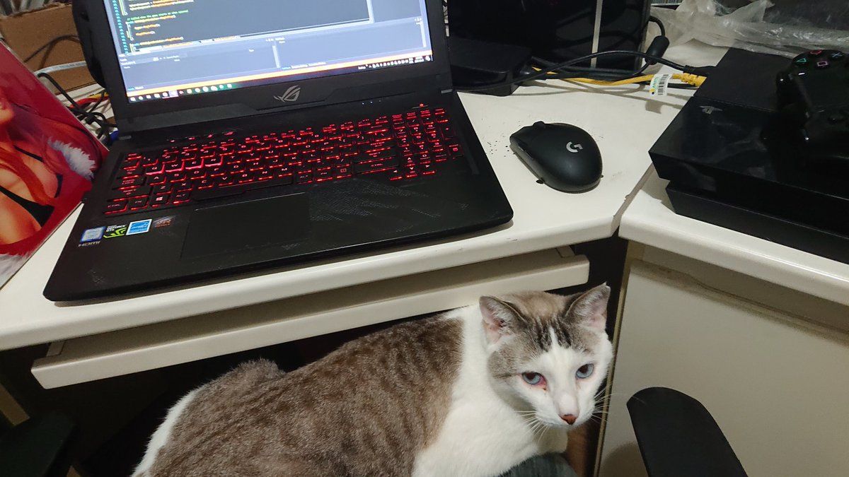 AgentOttsel's tweet image. Nothing like some good ol&apos; #CaturdayCoding. :v Who says cats can&apos;t learn @UnrealEngine? You show them, Dusty!