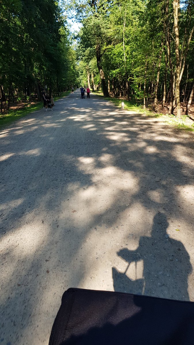 QuagliaAle's tweet photo. Finalmente...
#sole #estate #bici #natura #pedalare #sudare #riposare #prenderesole #ticino #viaGaggio #Tornavento https://t.co/egJIqi7ZYR