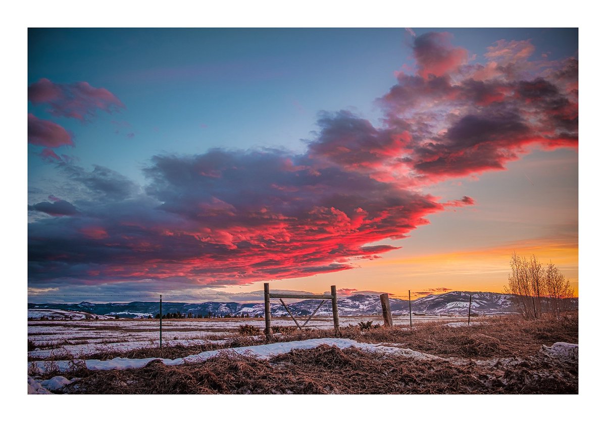 SethBurkeyPhoto's tweet photo. So glad I was able to capture this #amazingsunset
#lincolnnebraskaphotographer #landscapes #capturelife #seethebeauty #toughtree #enjoynature #getoutside #lovetotravel #fujifilmxt2 #springcolors #colorfulcolorado #fireinthesky #sunsetovertherockies #cloudsonfire #lastsecondphoto https://t.co/j5VADyfw9g