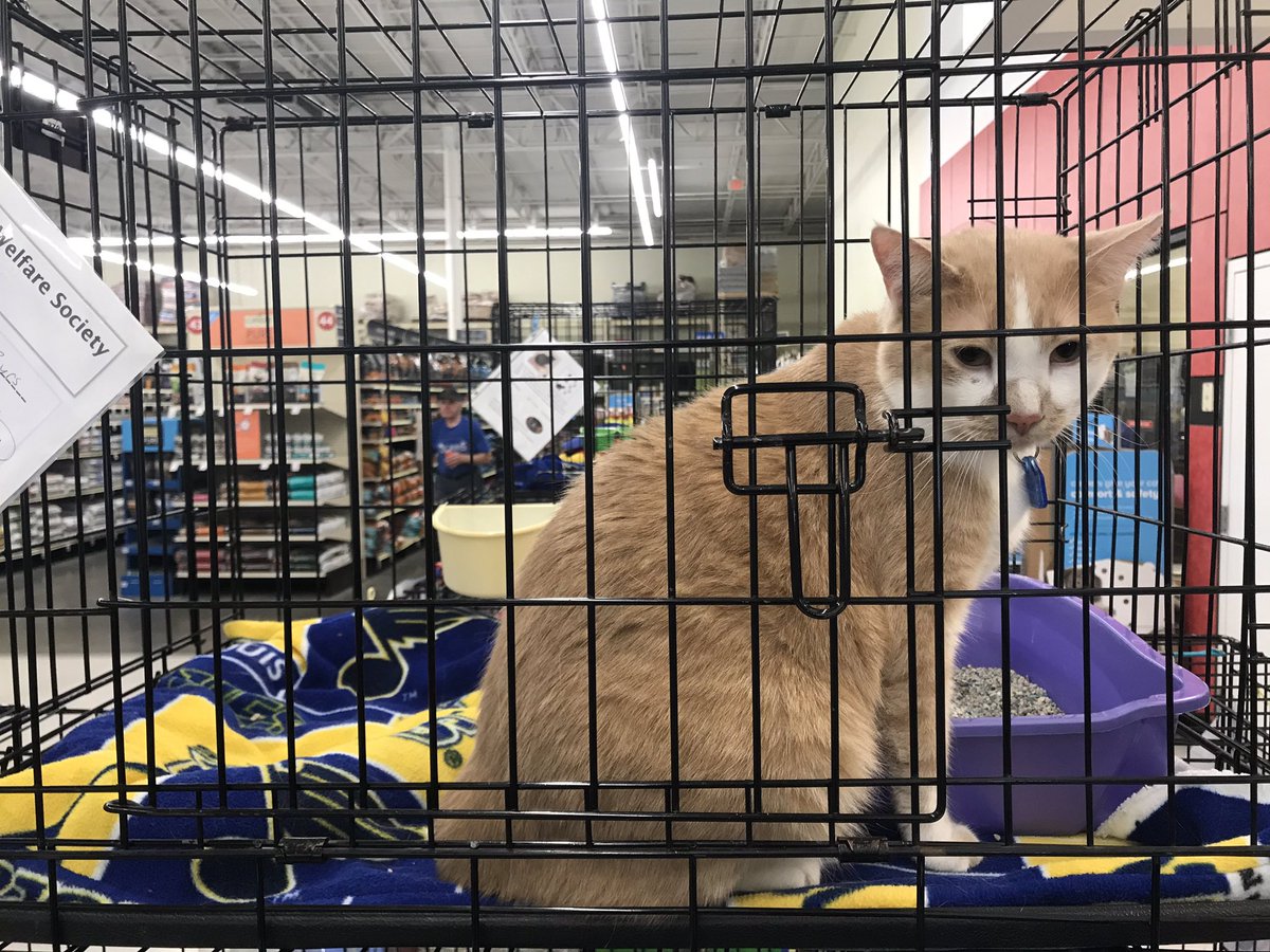 Petsmart 0255 tweet media