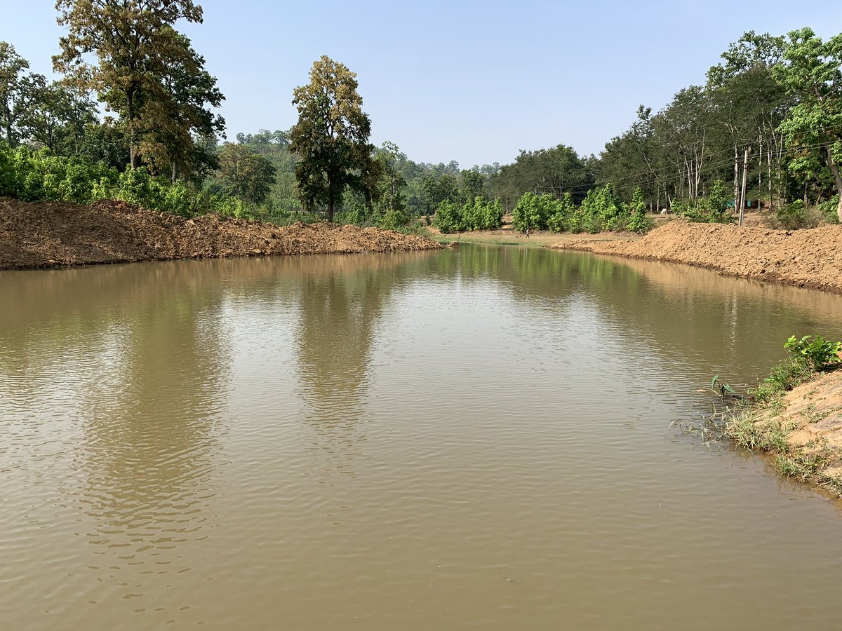 NileshKumar_IAS's tweet photo. @aamir_khan Inspired by work of @paanifoundation ; in remotest corner of Chhattisgarh state , in District Jashpur @JashpurDist ; People are tirelessly working for water and soil conservation!! Before and after photos of the @Shramdaanindia work ! https://t.co/BnIKFjIyqq