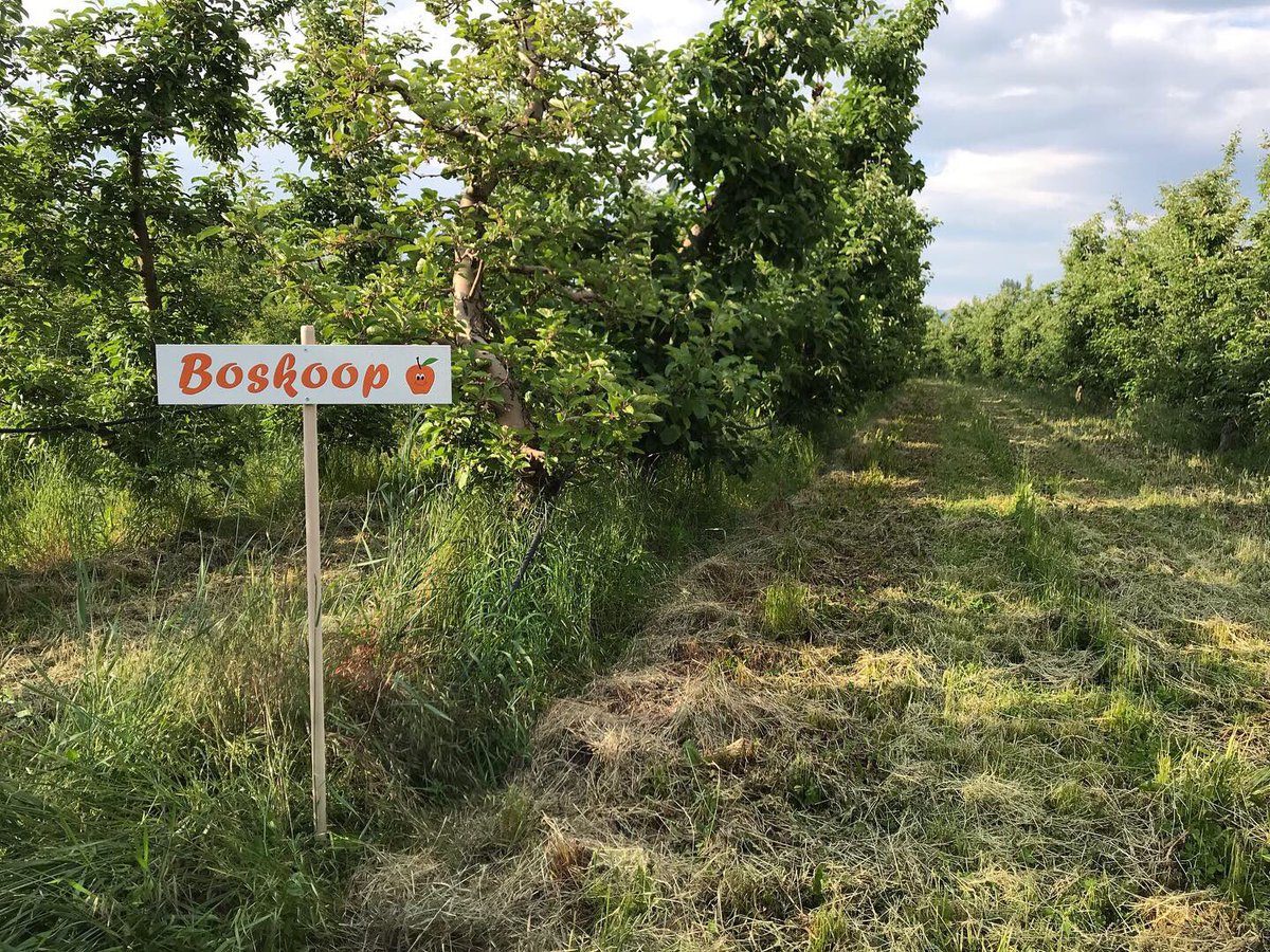 SpiritOfPrespa's tweet image. The signs are up ✅
#cherries #apples #pumpkins