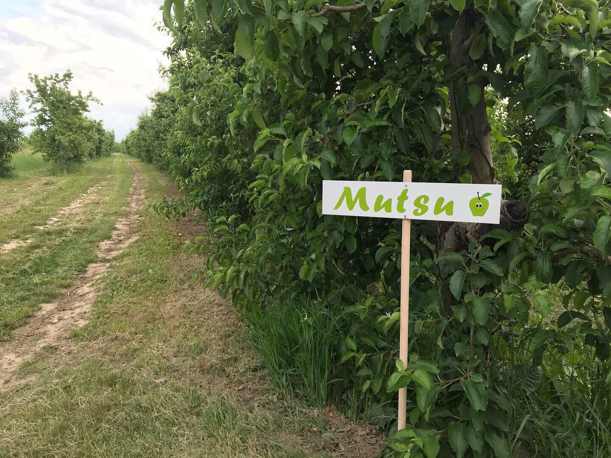 SpiritOfPrespa's tweet image. The signs are up ✅
#cherries #apples #pumpkins