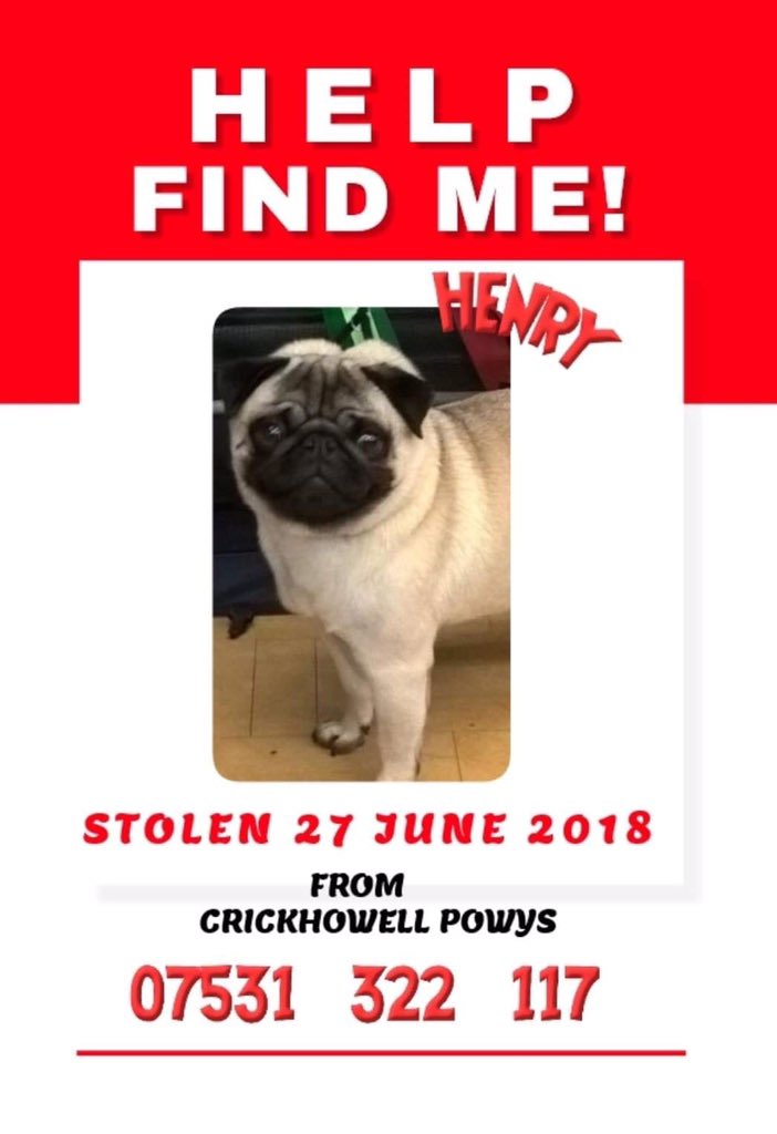 BlueFrenchie1's tweet photo. Facebook Page-HELP FIND HENRY❤️
Male Pug Henry From Wales Missing since 27/6/18😞
HAVE YOU SEEN HANDSOME HENRY PLEASE?🙏 #HelpfindHenry @rosiedoc666 @BlueFrenchie1 @gelert01 @RachaelB100 @suedaycam @jaynecellison @LizJ_T @Eloquencealways @thedogfinder @BrendaBlethyn @psychicpenny https://t.co/X3TC7cuwSw