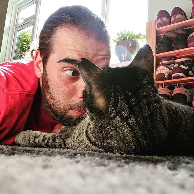 tonyedwardspz's tweet image. #dexpz wasn't fooled by my attempt at getting a secret sleepy #selfie.

#SleepWithOneEyeOpen #cat #tabby