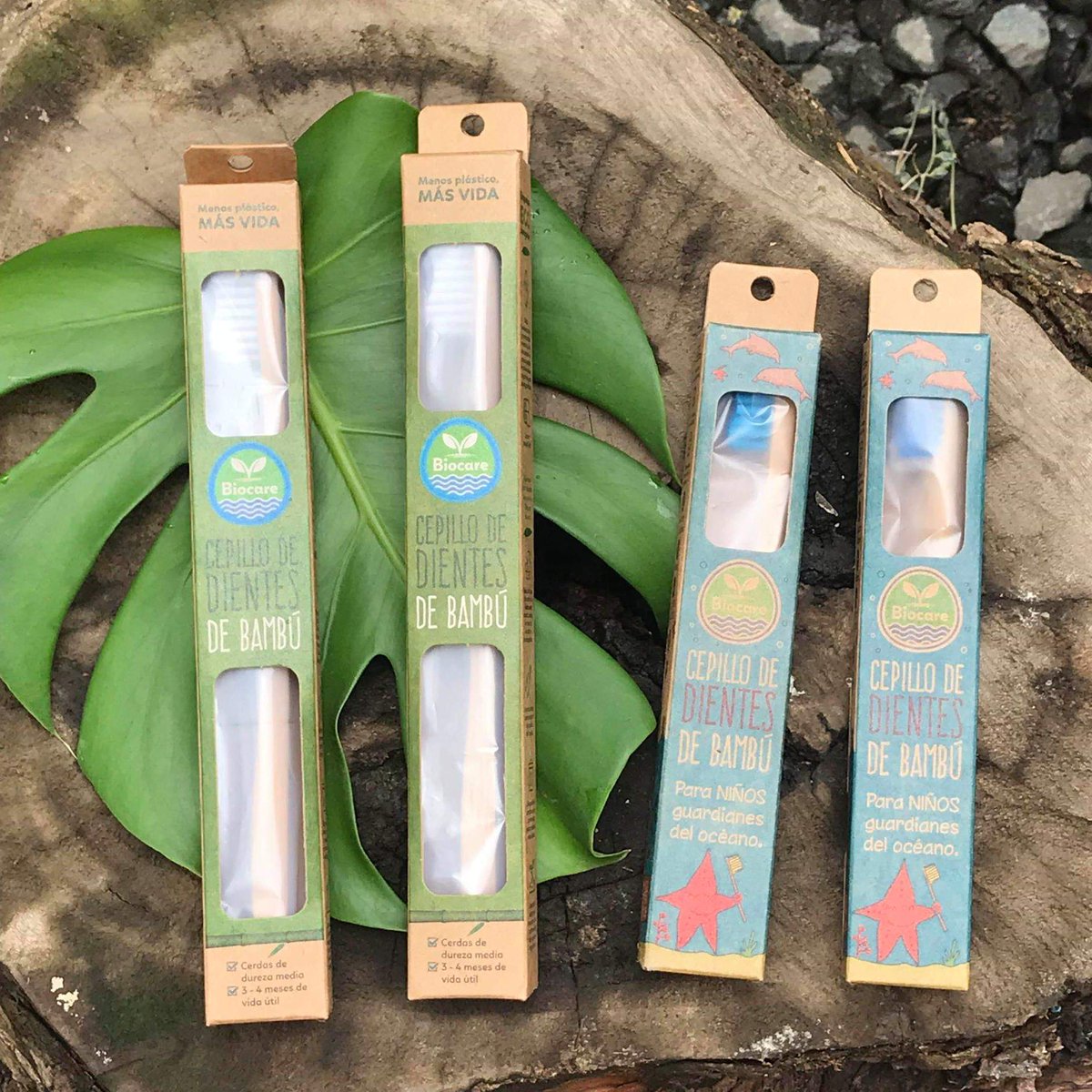 diegoandres_g's tweet photo. En Colombia ya se produce el cepillo de dientes biodegradable, sus partes son 100% compostables, incluyendo el empaque plástico porque es generado a partir de almidón de maíz. El proyecto busca apoyar a comunidades del Valle del Cauca para mantener sus playas libres de plástico💚 https://t.co/lBj6wfyMDs