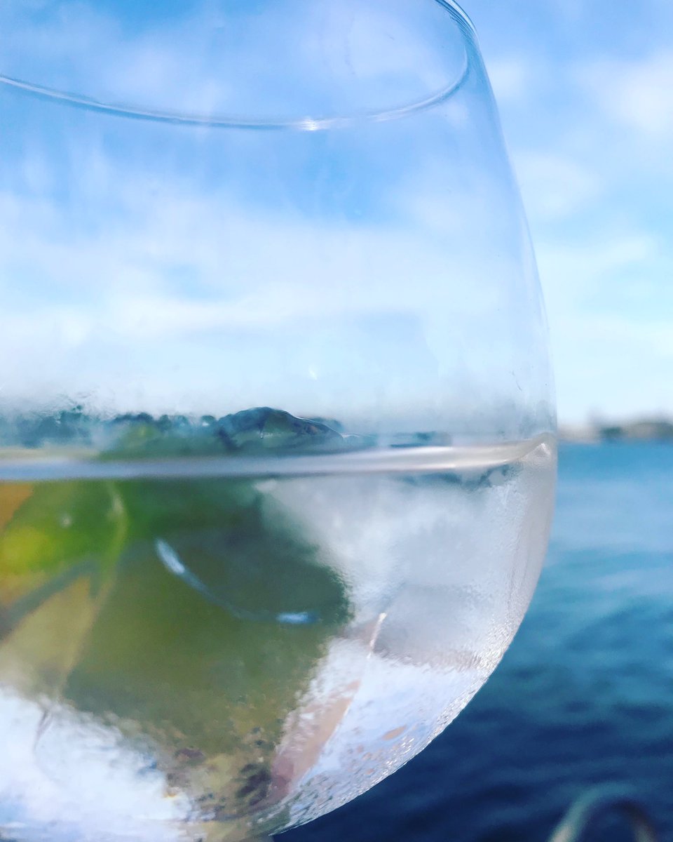 Yeah don’t mind me 🍸 <a href="/TrevethanGin/">Trevethan Gin</a> rhubarb and apple #gin overlooking #PlymouthHoe
