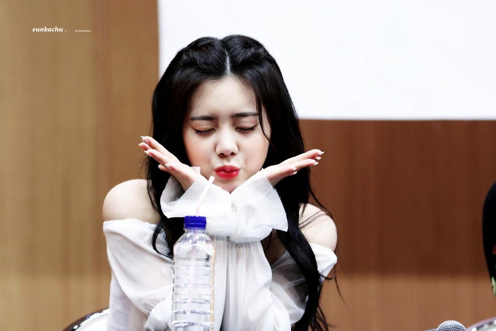 은카츄0526 tweet media