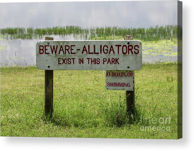 Exactly what does one do in this park??? ...and you don't have to tell me twice! #chokecanyon #Texas #alligators #Gators #forsale  fineartamerica.com/featured/bewar…
