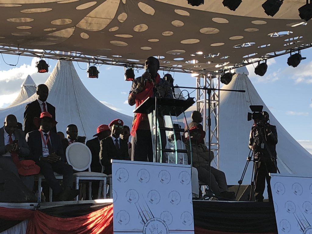 @nelsonchamisa says we don’t want political dialogue to share power but to share a vision. Such an unselfish approach from a politician shouldn’t go to waste as we seek to revive Zimbabwe. #MDCCongress2019