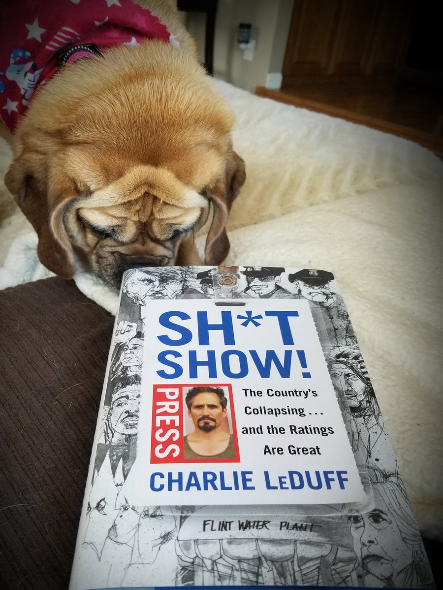 DADM_Graphics's tweet image. Got my copy of @Charlieleduff new book Shit show this morning. Even the dog can&apos;t wait to get into this one.