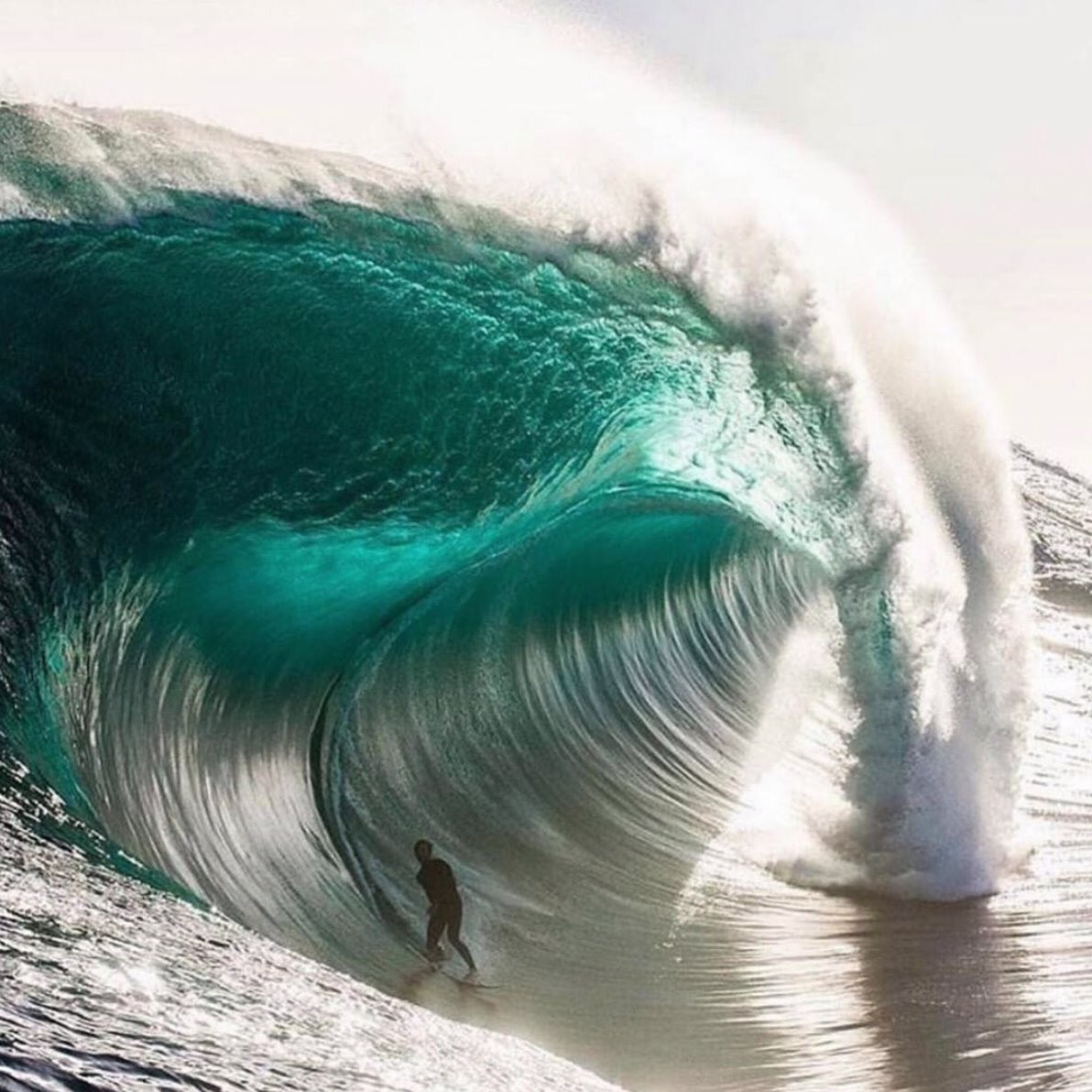 The Surf Channel tweet media