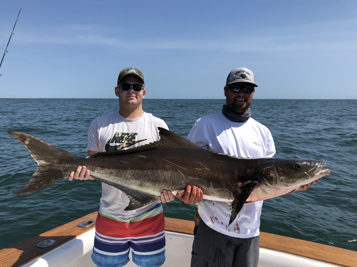 TheVacationDR's tweet photo. My man little #Flaskey just got the 1st #Cobia of the season aboard the #Hunter Looks like he will go about 80lbs! #BOOM https://t.co/sWC7BdicaW