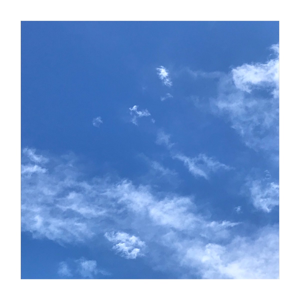 Mini Jake tweet media