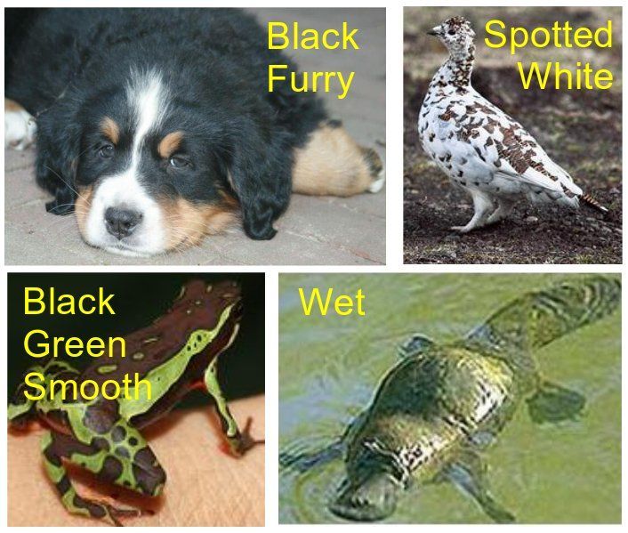 SpirosMargaris's tweet image. Building a Computer #VisionModel: 

Approaches and datasets 

buff.ly/2VxVd9L #fintech #AI #ArtificiallIntelligence @kdnuggets #MachineLearning #DeepLearning #robotics @pierrepinna @HaroldSinnott @jblefevre60 @antgrasso @ @Thomas_Harrer @DimDrandakis @RosyCoaching