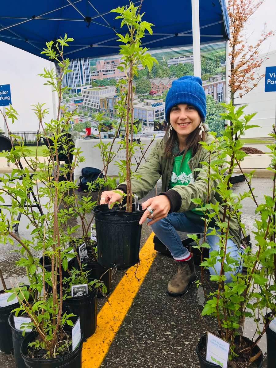YorkRegionGovt's tweet photo. Come & see all that #YRFamilyFunDay has to offer at 55 Orlando in @myRichmondHill today! There's free face painting & popcorn, ice cream (15% of sales go to @UWGreaterTO), free trees/shrubs from @leaf (while supplies last) & more! We're here until 3pm. See you soon! #loveYR https://t.co/tuoyxL3xcF