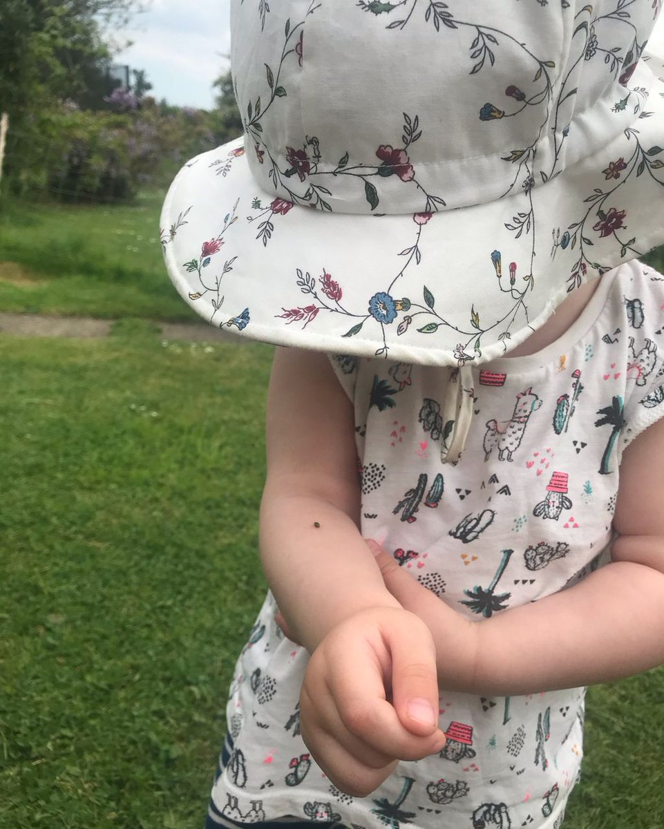 Happy long weekend everyone!
May it be as interesting as this ladybird is to my daughter!
We’re off for three days now. Back in on Tuesday if you need us!
.
.
#chairrepairworkshop #longweekend #ladybird #toddler