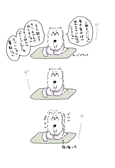 #ほめてくれるねこちゃん #ほめねこちゃん
かいねこちゃん、主人のシャワー待ち 