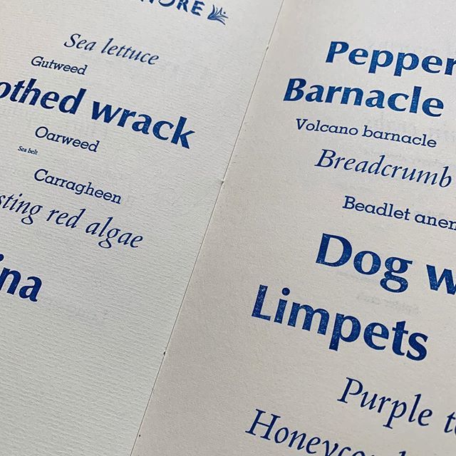 mostlyflat's tweet photo. Aside from pootling about in the garden this weekend, I need to finish binding the rest of my Species books. Huge thanks to all you lovely people for buying them! You’ve made me very happy. 🤗
.
.
.
#makingbooks #artistsbook #bucksmills #handsettype #… https://t.co/pYU2xG1YXb https://t.co/XbIqxDEE1a