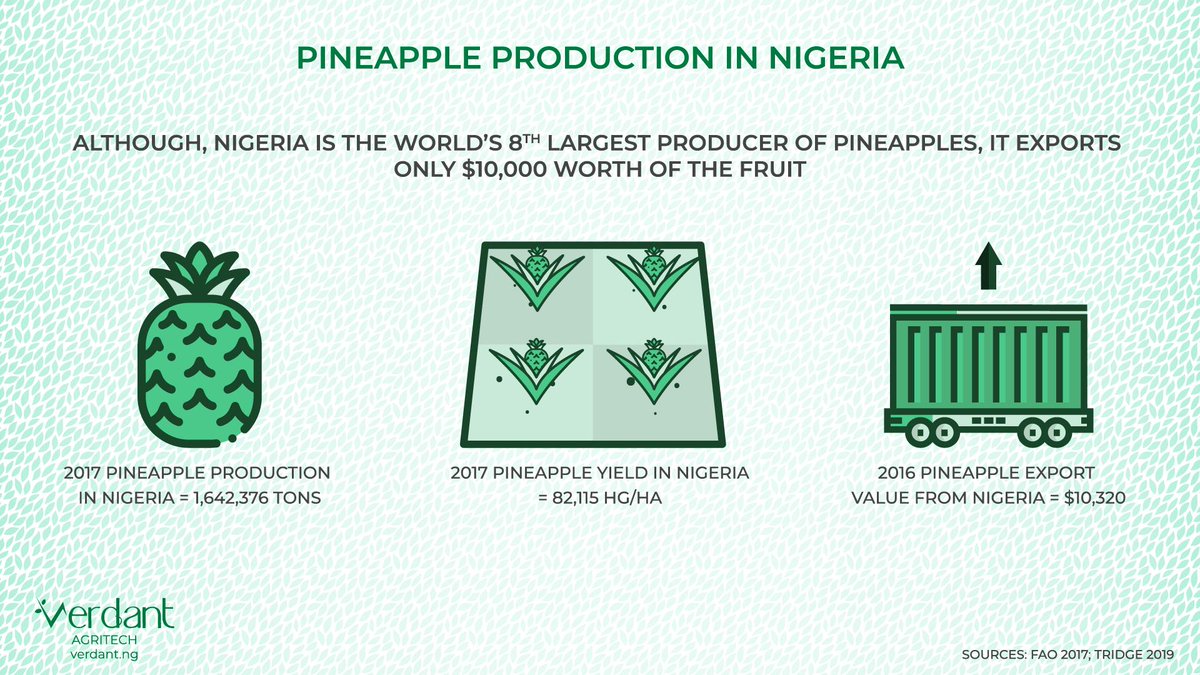 Although, Nigeria is the world's 8th largest producer of pineapples, it only exports $10,000 worth of the fruit. 🍍

#agriculture #agritech #foodsecurity