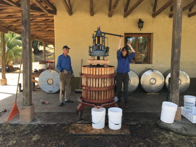 From vine resilience to birds and wasps tasting the grapes alongside us - our news from harvest this year is now up on our blog page 🍷 read our learnings here: buff.ly/2WiVsdi