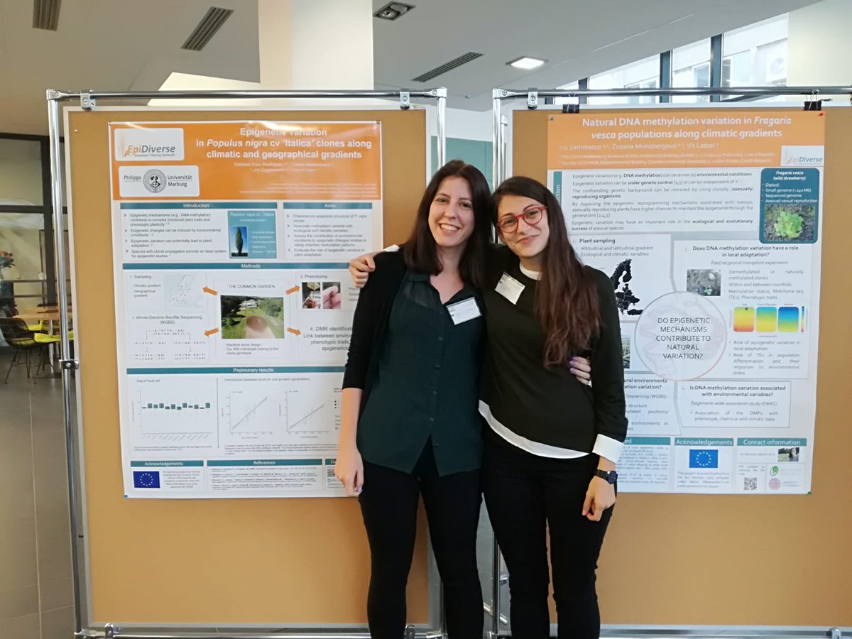 EpiDiverse's tweet photo. @Iris63146796 and @Bio_Syg representing the Epidiverse network at #PopBio2019. Iris won the best poster prize :D!!!! https://t.co/uhHm93xOkf