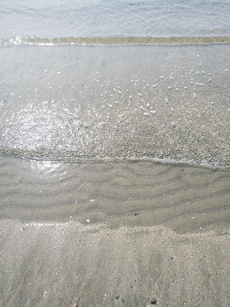 近場の海で海心を満たしてきた(死ぬ程暑かった) 