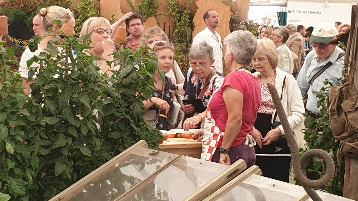 Pennard's tweet photo. Fiona with a good crowd #rhschelsea tasting tomatoes #burpeeseed #dalefoot https://t.co/pIgCVFXaZT