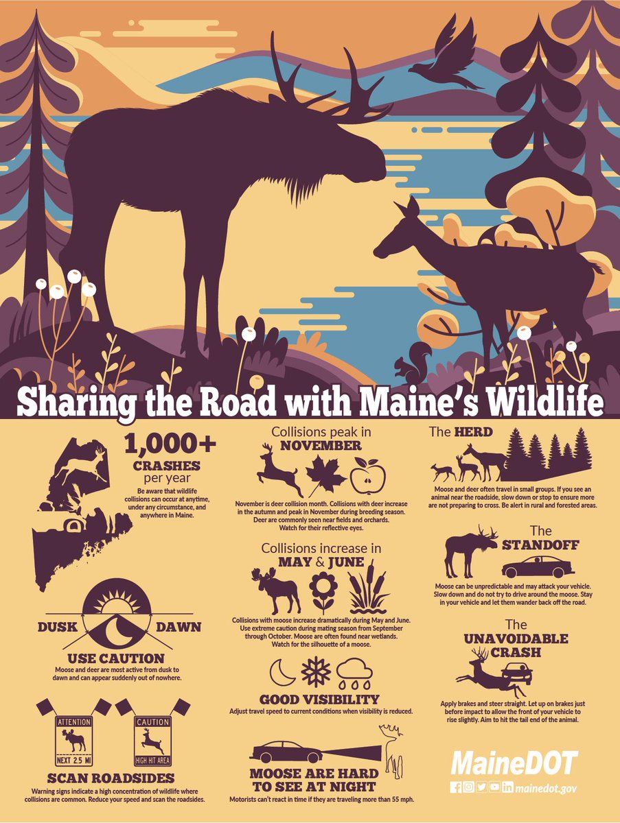 MaineDOT1's tweet photo. Wildlife crashes in Maine are a real problem on our highways. We’ve created FREE posters &amp; brochures with safety tips about sharing the road with wildlife. These would be great for your office or classroom. 

Click here to order! https://t.co/70mY6dnha7 https://t.co/KabcIAyTyk
