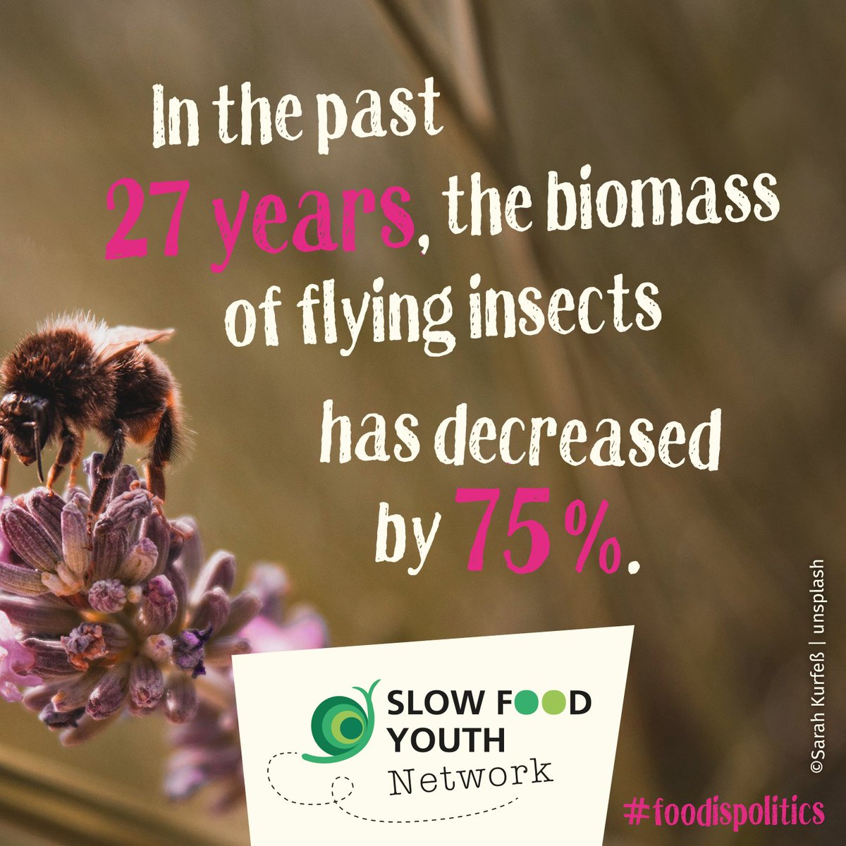 SlowFoodEurope's tweet photo. Insects are essential for our ecosystems. One reason for insect mortality is industrial agriculture, which damages biodiversity. We urgently need a systematic change. 
#EUElections2019 are taking place. Go vote!
#foodisPOLITICS #thistimeimvoting #FutureofEurope https://t.co/KXWTahb5dJ