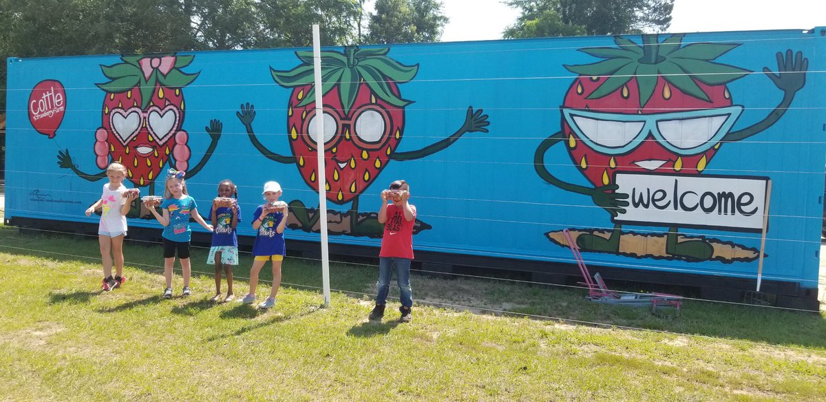 Cottle farm was so much fun 🍓<a href="/NSECrickets/">NSE Crickets</a>