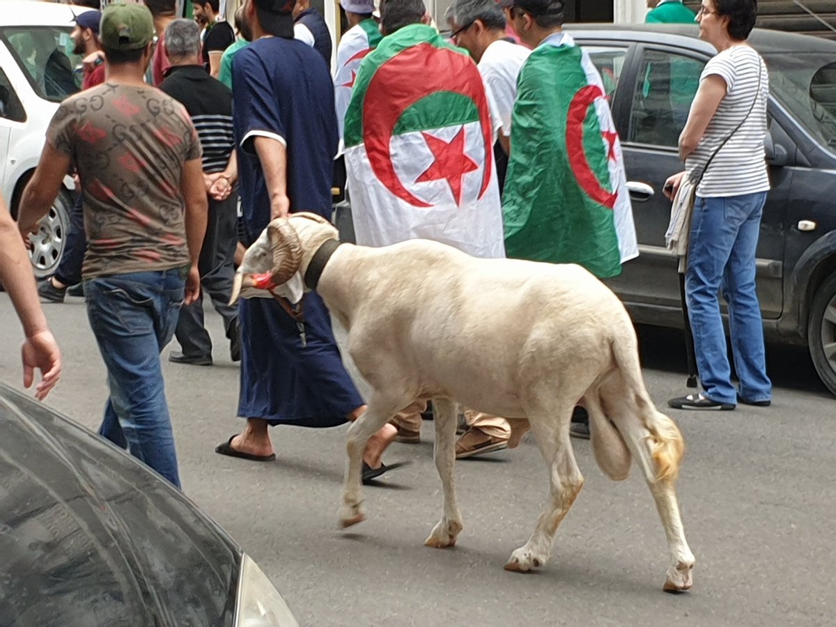 AlgerieU's tweet photo. Notre page sur facebook 
https://t.co/or40xbumCK
Bientôt à l'aid 🤣🤣 https://t.co/po2EWKH0c6