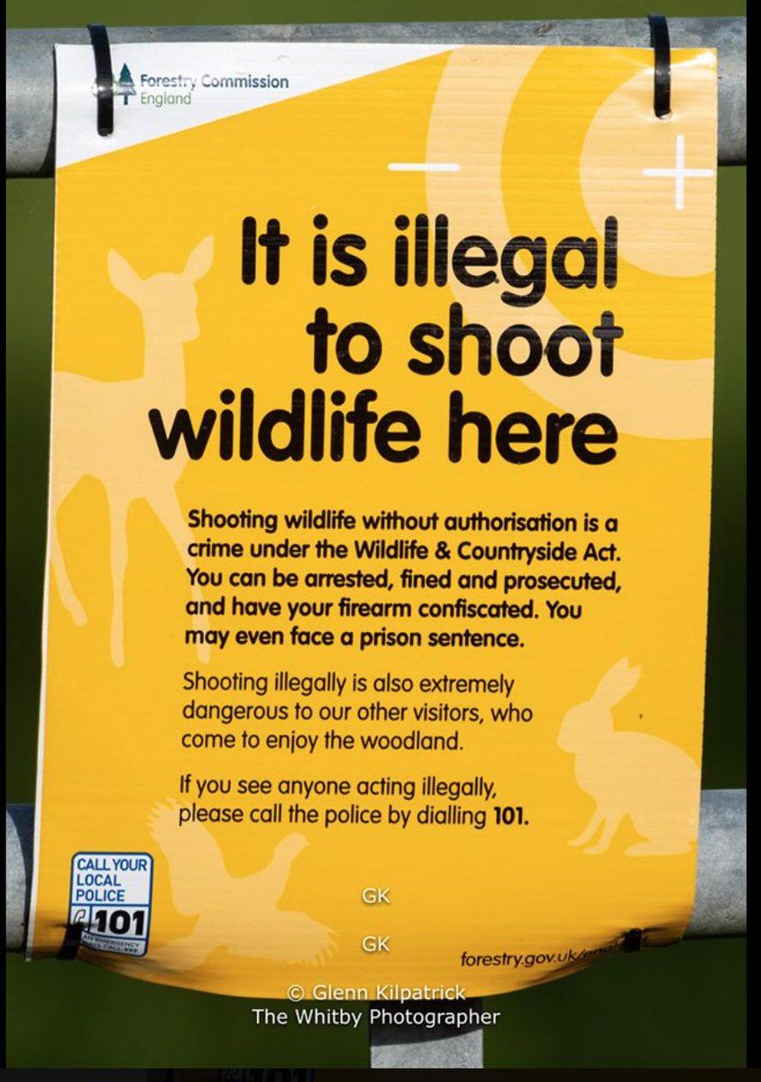 WhitbyPhotos's tweet photo. Huge well done to the #forestrycommission for trying to tackle this problem.
Perhaps its time for our #nationalparks , #nationaltrust , #yorkshirewater to get similar signs put up ?
#northyorkmoors #naturalengland #bbc #bbcnaturalhistory #chrispackham #springwatch #dalbyforest https://t.co/QAeI86BzJG
