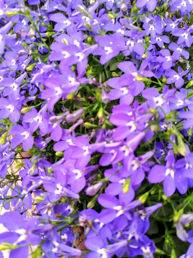 어제의 나를 떠올리는
지금의 나는 누구인가?
누가 무엇이 오늘의
나를 만드는가?

내가 아는건
내일 어딘가에 서있을
또하나의 오늘의 '나' 라는것
나의 모든 오늘마다
'나'는 존재했고,또

존재할것이다
오늘의 '나' 를 기억하는
모든 나에게
이순간을 바친다

♧_기억을 만난적 있나요?_박완호