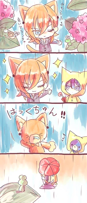 もうすぐ梅雨ですね🐸☔️ 