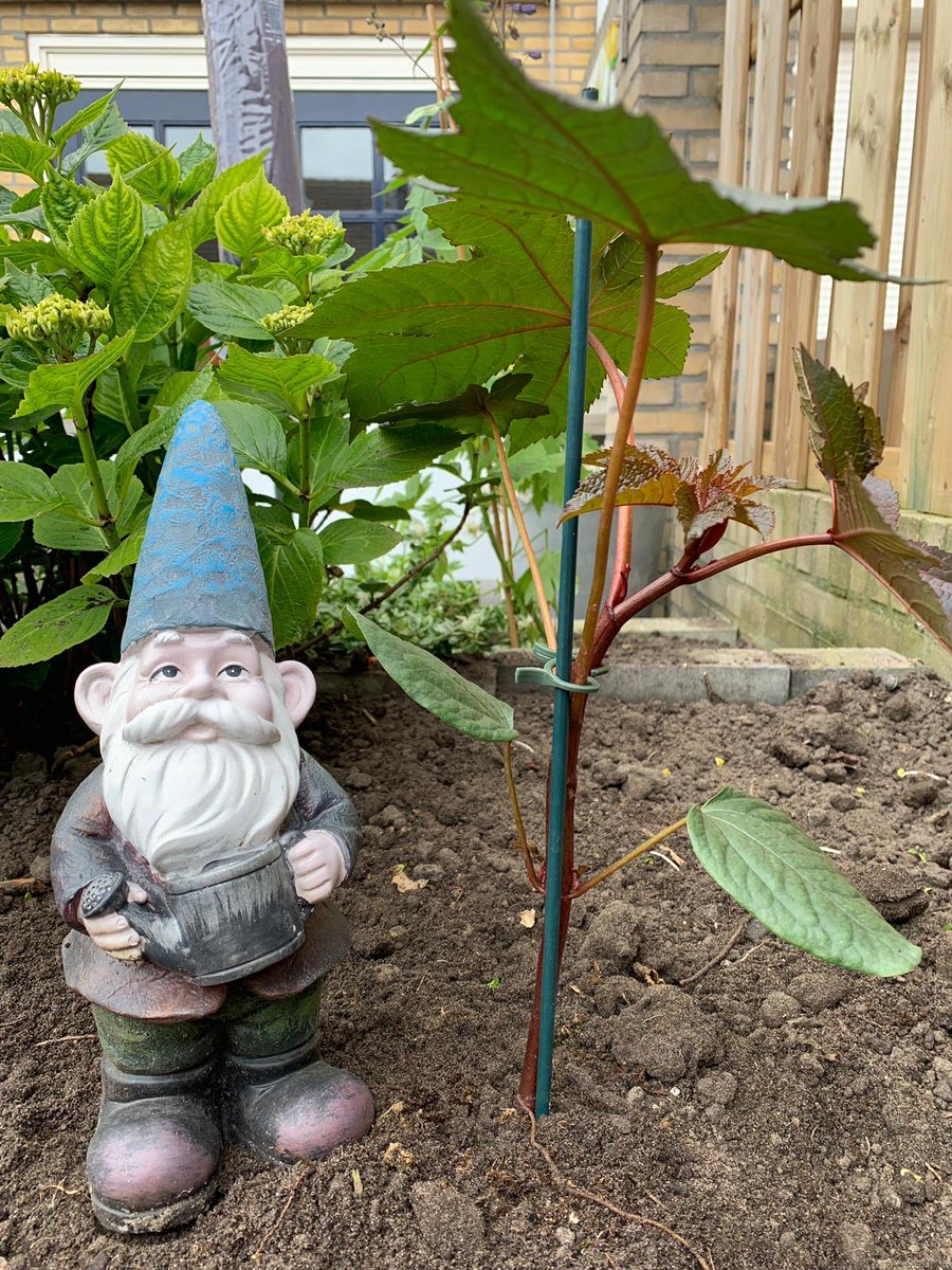 En we zijn los. Bedankt lieve kopers. 😍👊🏽🍁 <a href="/teamwestland/">teamwestland</a>