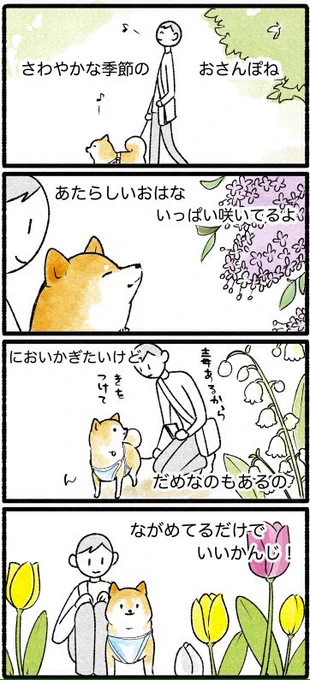 ひょひょひよ 