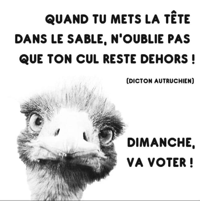 #26maggio #ElezioniEuropee #elezioniregionali del #Piemonte #andiamoavotare #stavoltavoto