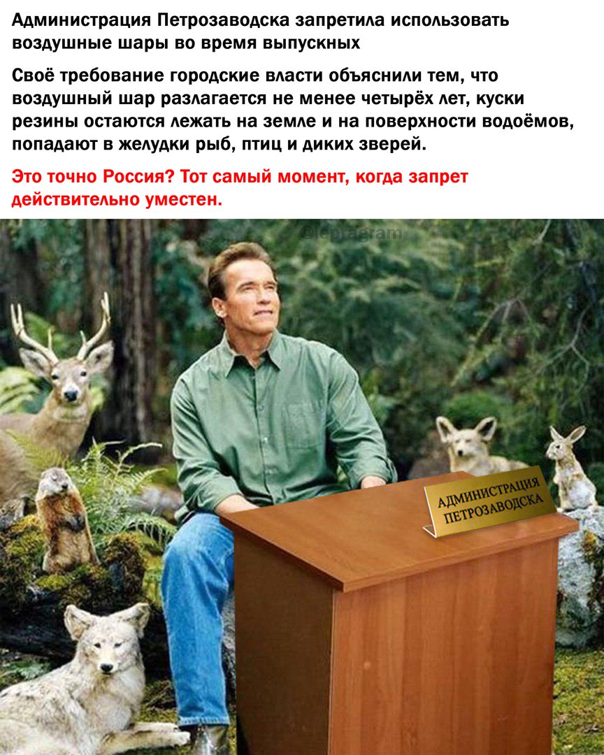 Чистый позитив (@purepositive_ru) on Twitter photo 