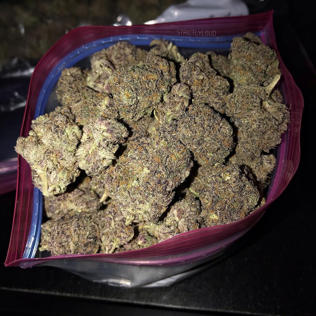 Strictlyloud1's tweet photo. What’s your favorite tasting strain? Mine has got to be this #Gelato33 or some Sunset Sherbet. Love the smooth, creamy grape taste 😈 #StrictlyLoud
#thc #cbd #420 #kush #herb #terps #w420 #sativa #indica #flower #highlife #legalize #cannabis #weedporn #topshelflife #highsociety https://t.co/87j22j7vAt