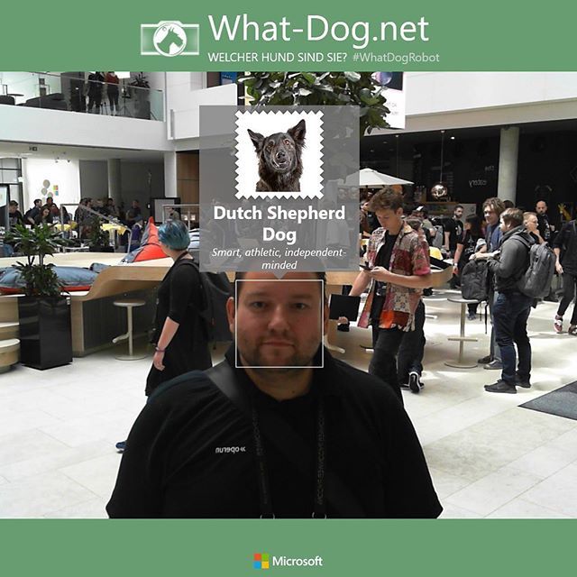 stefanantonelli's tweet image. #Gino is going to hate me... Thanks to @microsoftdeutschland and @pyconweb #pyconweb #pyconweb19