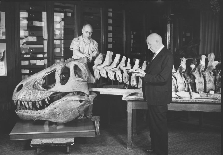 htcvive's tweet image. Can you imagine coming face-to-face with a Tyrannosaurus Rex? Help to make the giant skeleton come to life through “T. rex: Skeleton Crew,” an #HTCVIVEArts VR experience @AMNH until August 9th.  bit.ly/2TyDJci #HTCVIVE