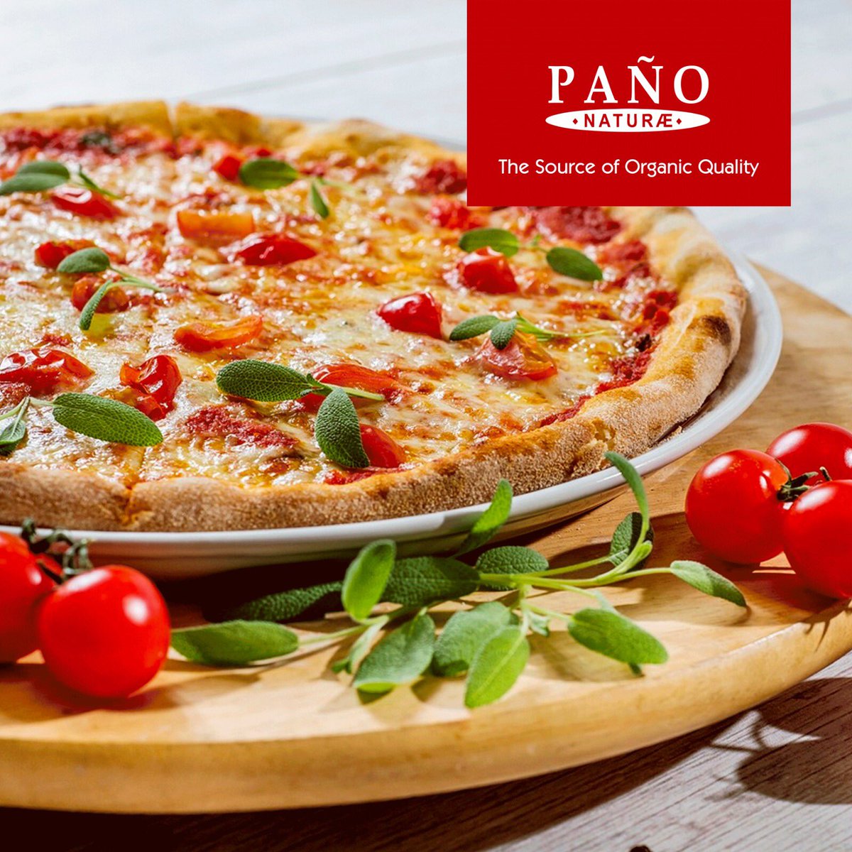 ¿Has puesto nunca granito de almendra a tu pizza artesanal🍕? ¡Deliciosa! 😋
-
#Paño #pañofruits #agrigulturaecologica #vidasaludable #almendras #almendrasecologicas #pizza #pizzaartesanal #pizzaecològica #healthyfood  #healthydinner #healthylivestyle