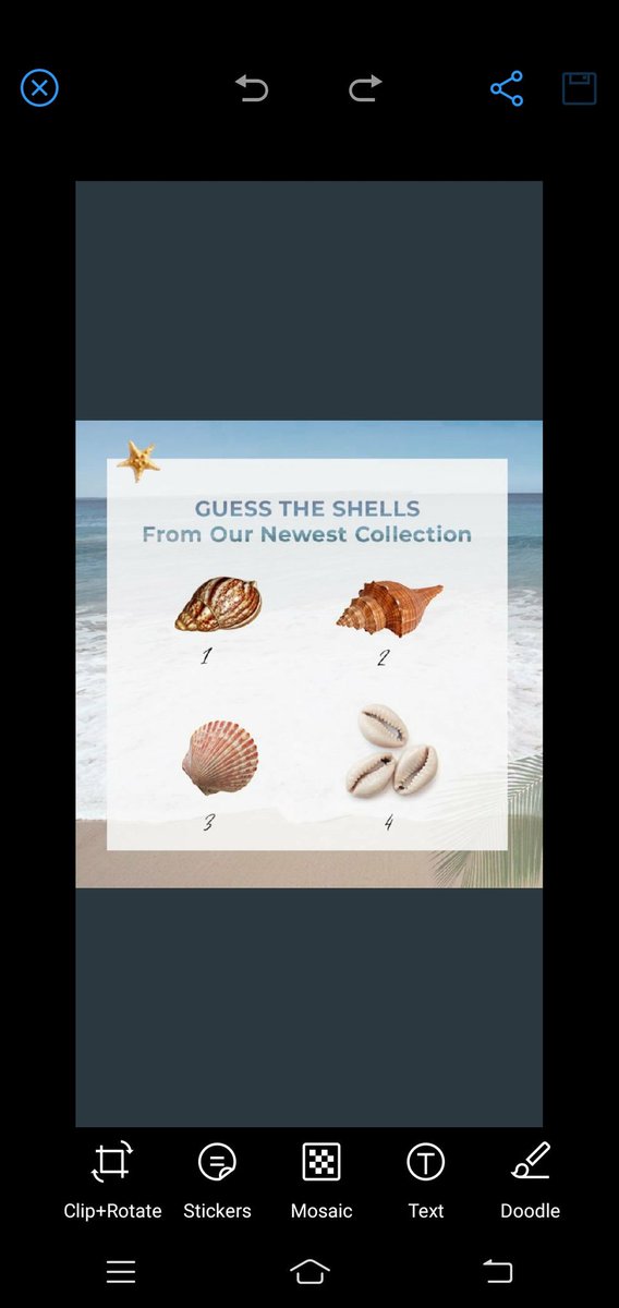 Sheetukankariy1's tweet photo. @pipabella 1️⃣sebastian conch shell🐚
2️⃣stellaluna conch shell🐚
3️⃣red salamanda shell🐚
4️⃣calypso cowrie shell 🐚
#pipabella
#shellaccessories 
@pipabella 
@shucutiepie 
@praveen3a
 @acidkidrock
 @Rain_Man25
 @sanghvinikita5 
@GauravP26479152
@aakash_beast786 

@Sagar1raut https://t.co/XvnAVAP0dF