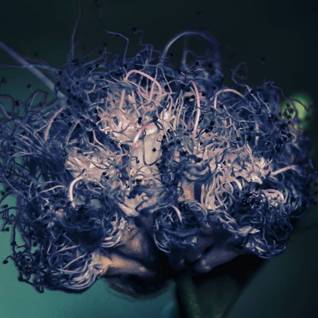 indiapicturesXL's tweet photo. RT @Param_Sidhu77: RT @indiapicturesXL: RT @indiapicturesXL: RT @Vagabond_of_01: Dark .
.
##focus #composition #nikonclicks #nikonphotography #abstractart #abstract #art #meemamsa #instagood #photooftheday #instaartist #streetphotographyIndia #throughyou… https://t.co/iLylxmTQep