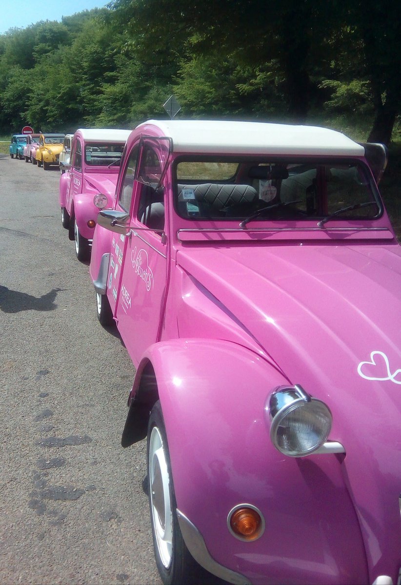 les_deuchs's tweet photo. 29/05 en #2cv roses direction #StAmandMontrond pour la nationale #CherDeuchesDixNeuf !Cette nationale aura c'est certain un goût particulier 💕 et nous rappelle qu'un #Cancer cela n'arrive pas qu'aux autres !🥊🦀🎗️ #nationale2cv2019 #cher #voituresAnciennes
#2pattes #2cvCitroen https://t.co/O9GBa4wuNI