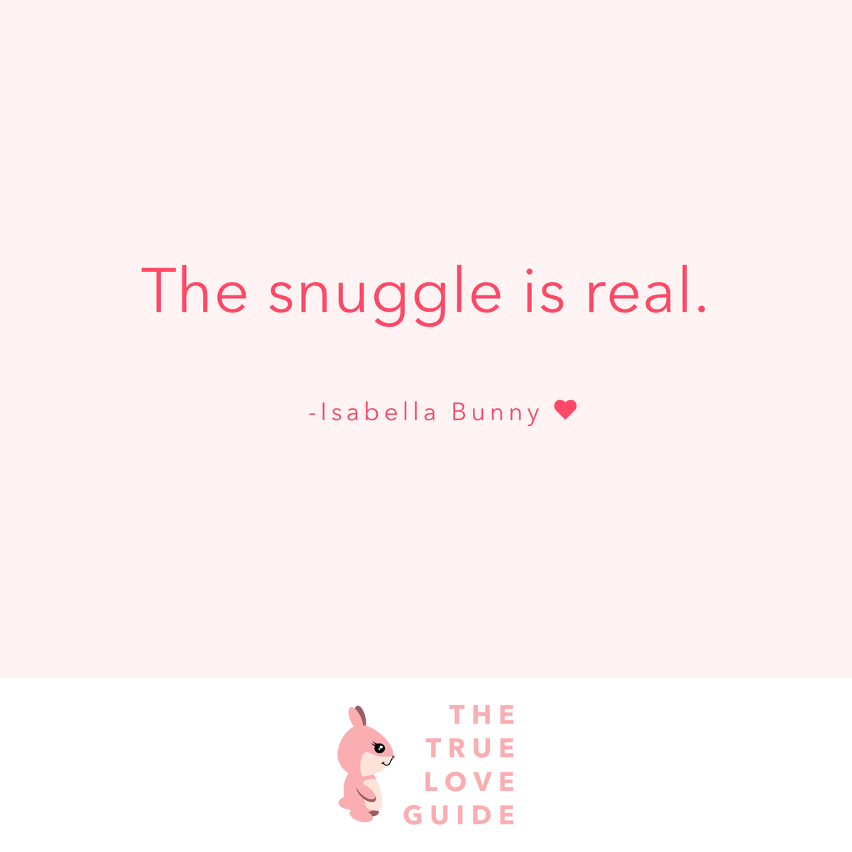 True_Love_Guide's tweet photo. The snuggle is real 🐰❤️
#snuggle #love https://t.co/SZDuM3T9q7
