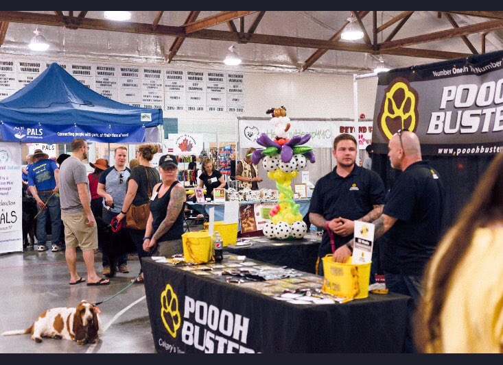 ARTSSeniors's tweet photo. Hey #yyc #calgary -come to Vivo West Arena in Country Hills TODAY from 10-4 for #dogfestcalgary Bring Fido to play, shop, socialize, & get pics taken! The event is free but donations are welcome at the doors & THOSE DONATIONS GO TO US! #yycdogs #dogfestyyc #yycevents https://t.co/PjTGgwneuw